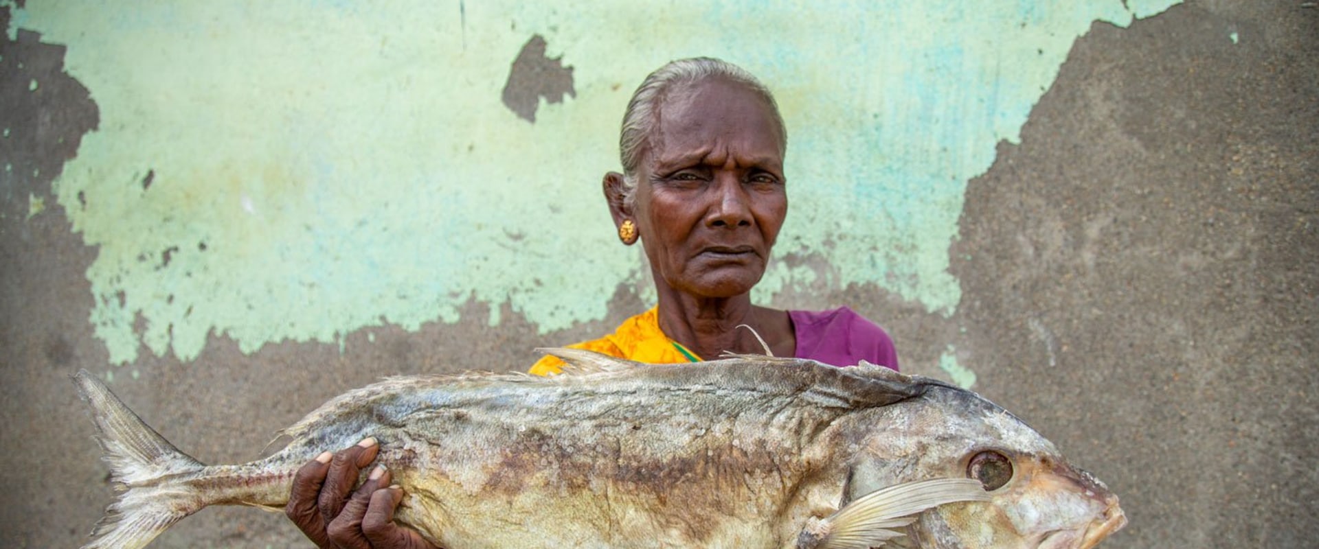 Exploring the Ancient Medicinal Uses of Dried Seafood