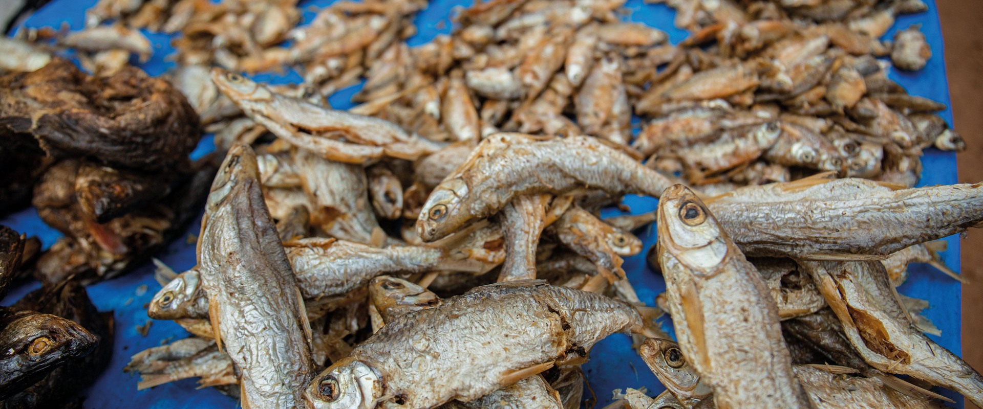 Proper Storage Methods for Different Types of Dried Seafood: A Comprehensive Guide