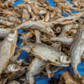 Proper Storage Methods for Different Types of Dried Seafood: A Comprehensive Guide