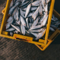 Best Practices for Buying in Bulk: A Comprehensive Guide to Purchasing and Storing Dried Seafood