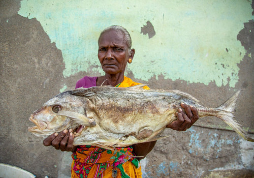 Exploring the Ancient Medicinal Uses of Dried Seafood