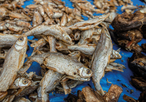 Proper Storage Methods for Different Types of Dried Seafood: A Comprehensive Guide